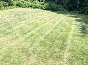 Tom M.'s Lawn Maintenance service result