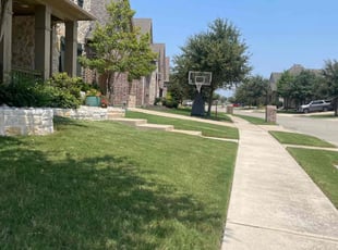 Simone W.'s Lawn Mowing service result
