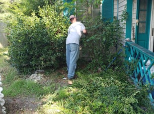 Bush Trimming by Hubert Dennis for Darrell M. in Virginia Beach, VA