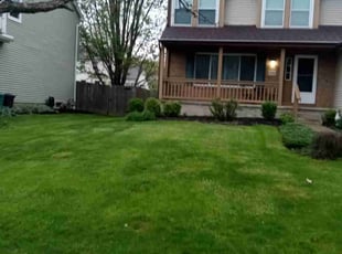 Bush Trimming by Elisha Nelson for Mina G. in Westerville, OH