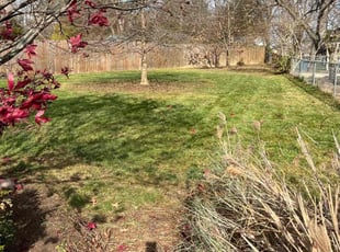 Leaf Removal by Victor Edwards for Jennifer A. in Cincinnati, OH