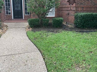 Bush Trimming by Lindsey Balser for Nick V. in Spring, TX