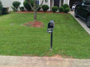 Cheryl H.'s Lawn Care service result