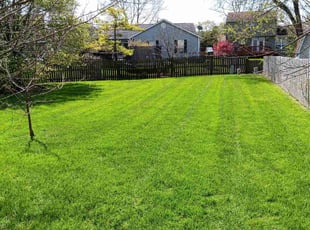 John A.'s Lawn Mowing service result