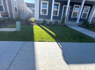 Keena M.'s Grass Cutting service result