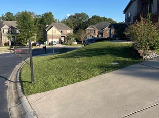 Mike R.'s Lawn Mowing service result