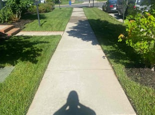 Dwight B.'s Grass Cutting service result