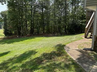 Lydia S.'s Lawn Mowing service result