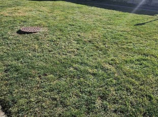 Leaf Removal by Leroy Green II for Yvette T. in Worthington, OH