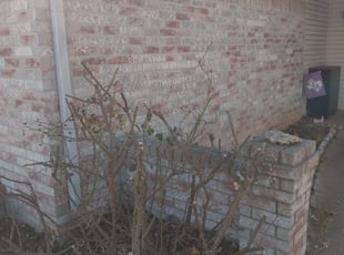 Bush Trimming by William McGuire for Marion B. in Joshua, TX