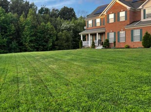 Tina S.'s Lawn Mowing service result