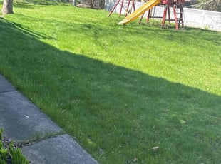 Lee F.'s Lawn Mowing service result