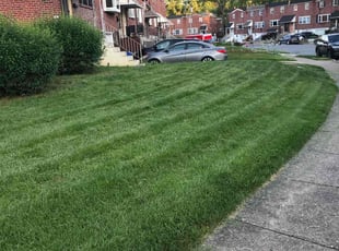 Louie D.'s Grass Cutting service result