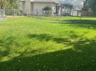 Lisa B.'s Lawn Mowing service result