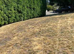 Weeding by Byron Vasquez for Sukrat P. in Kirkland, WA