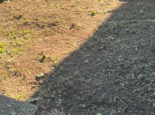 Weeding by Dave Ehrenberg for Jessica H. in Columbus, OH