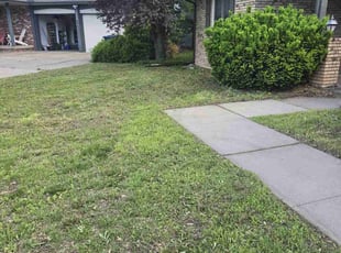 Weeding by Chad Suenram for Bryce R. in Wichita, KS