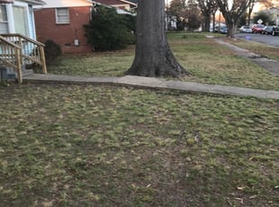 Cleanups by Davon Lightfoot for Christopher J. in Richmond, VA