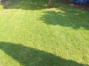 Amy B.'s Lawn Care service result