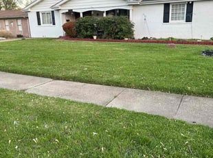 Katrina W.'s Lawn Service service result