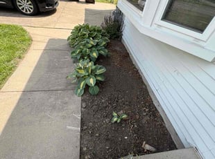 Rachel D.'s Flower Bed Weeding service result