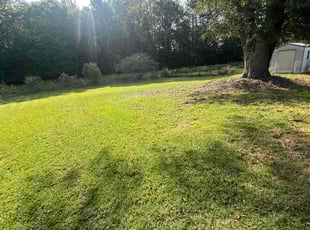 Kerry T.'s Lawn Service service result