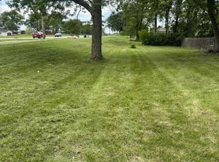 Johnnie A.'s Lawn Care service result