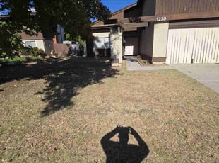 Frank T.'s Lawn Care service result