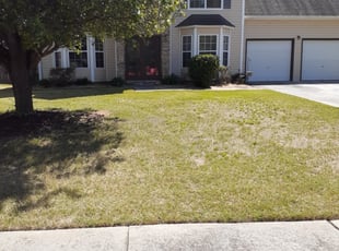 Cleanups by Ralph Mcgruder for Kevin F. in McDonough, GA