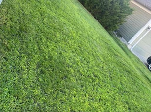 Mari N.'s Lawn Care service result
