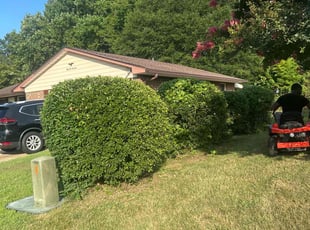 Jonathan M.'s Bush Trimming service result
