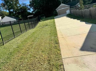 Dena R.'s Lawn Maintenance service result