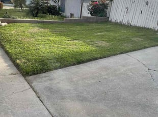 Cindy B.'s Grass Cutting service result