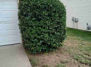 Leaf Removal by Travis Kennedy for Listra T. in Harrisburg, NC