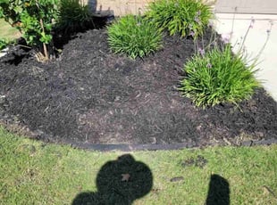 Mulching by Juliana Ledezma for Dana T. in Georgetown, TX