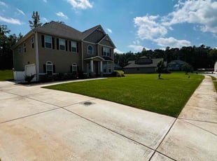 Esmie B.'s Yard Cutting service result
