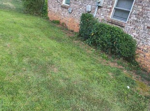 Arwa O.'s Bush Trimming service result