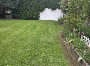 Jeffrey C.'s Lawn Maintenance service result