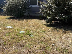 Weeding by Christopher Aguilar for Patricia R. in Kyle, TX
