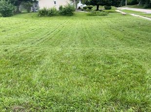 Dave M.'s Lawn Mowing service result