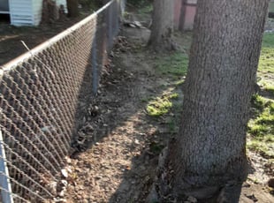 Leaf Removal by Arisbet Cardoza for Delia F. in Kentwood, MI