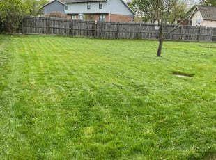 Bryanna C.'s Lawn Mowing service result