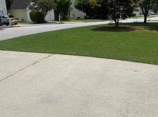 Calvin H.'s Lawn Care service result