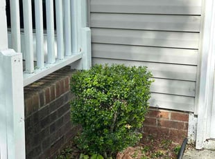 Bush Trimming by Joshua Coonradt for Lucille S. in Wake Forest, NC
