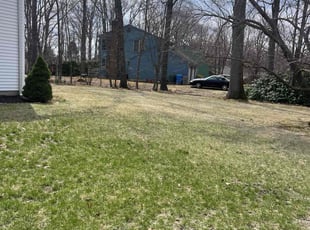 Leaf Removal by Ruben Fox for Franklyn A. in Bristol, CT