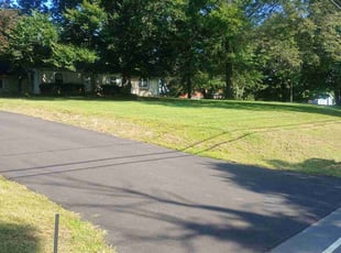 Suzanne Z.'s Lawn Care service result