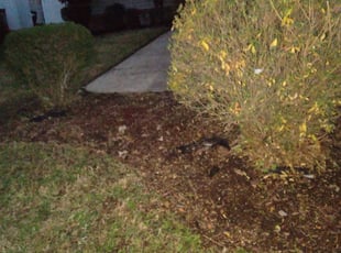 Weeding by Marvin White for Michele H. in Virginia Beach, VA