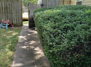 Bush Trimming by Nicholous Johnson for Rebecca W. in franklinton, nc