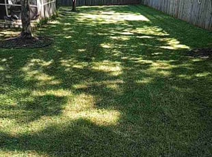 Nolan F.'s Grass Cutting service result