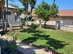April M.'s Lawn Service service result